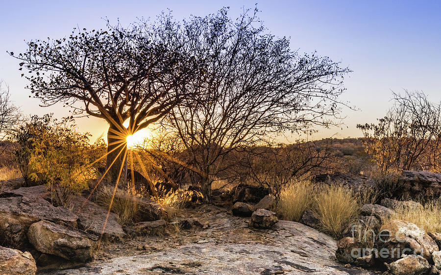 Sunset in the Erongo bush Photograph by Lyl Dil Creations