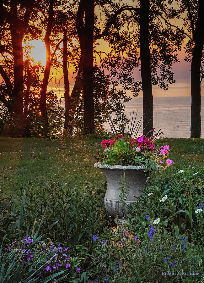 Sunset in the Garden Photograph by Rebecca Samler