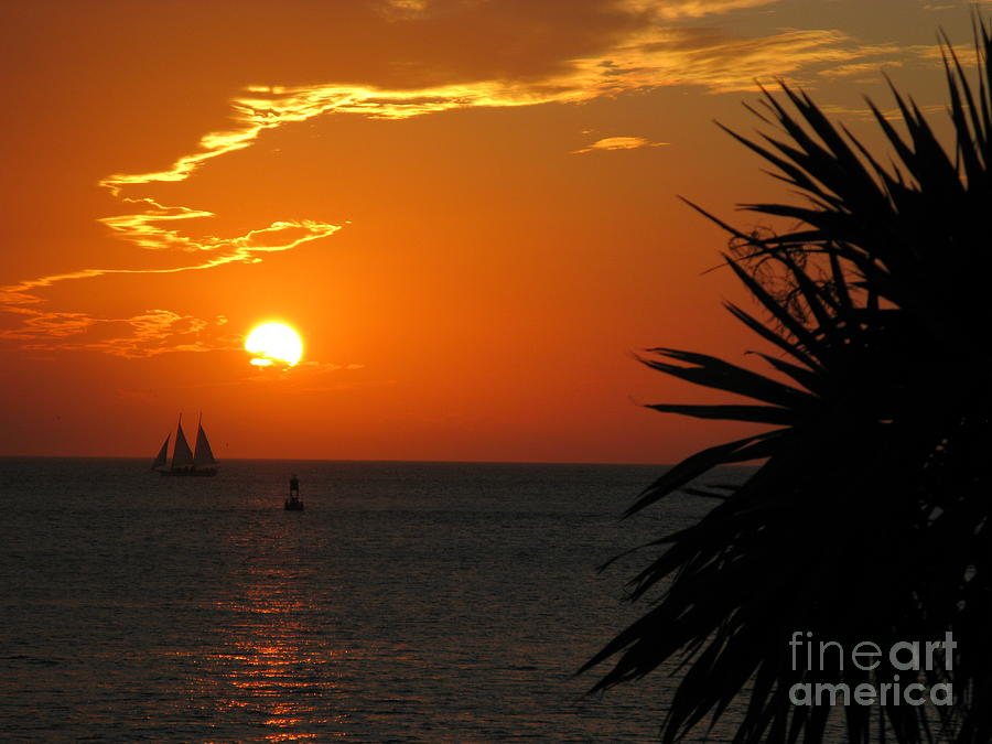 Sunset in the Keys Photograph by Terri Brewster
