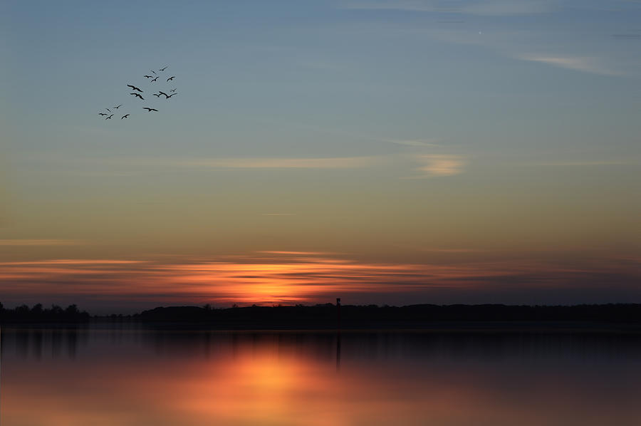 Sunset In The Lagoon In Venice Photograph by Francesca Ferrari