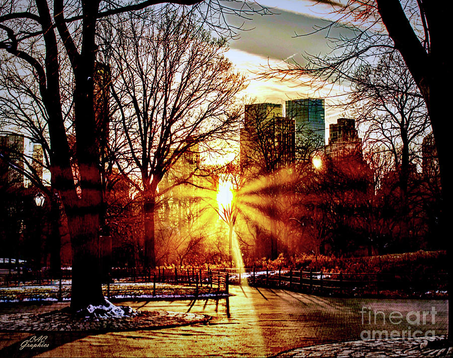 Sunset In The Park Digital Art by CAC Graphics