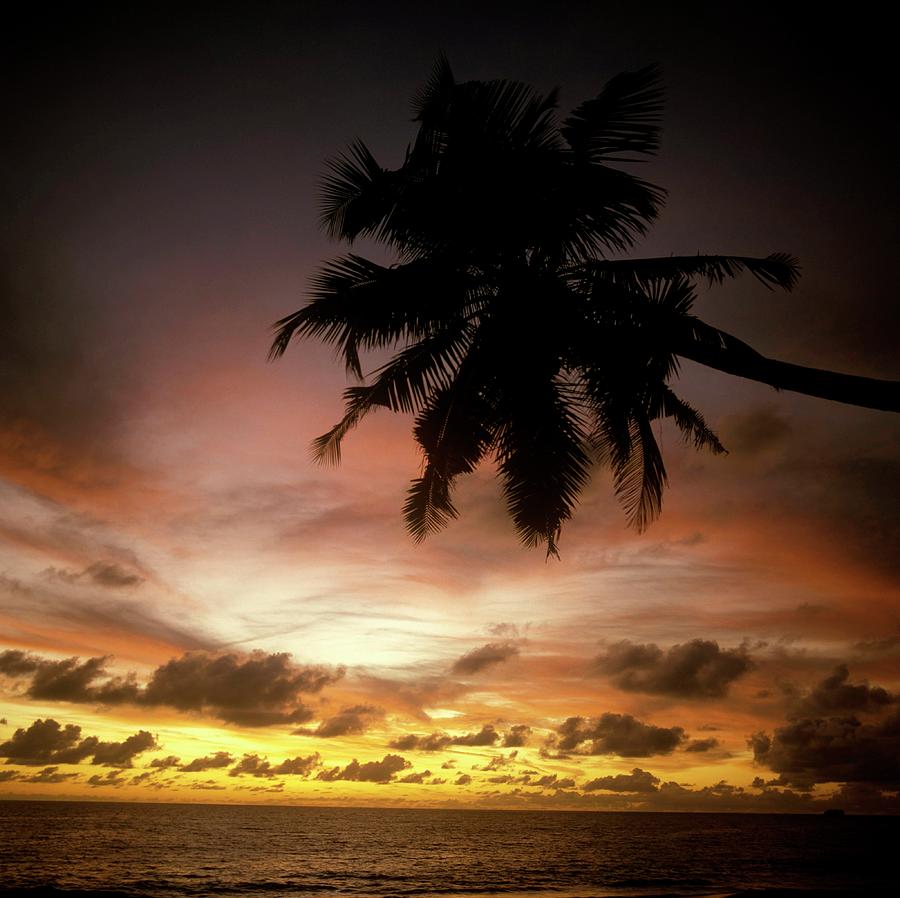 Sunset In The Seychelles Photograph by David Redfern