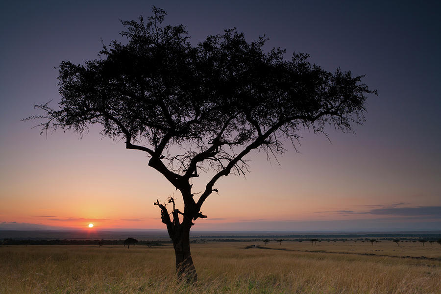 Sunset, Kenya Photograph by Mint Images/ Art Wolfe