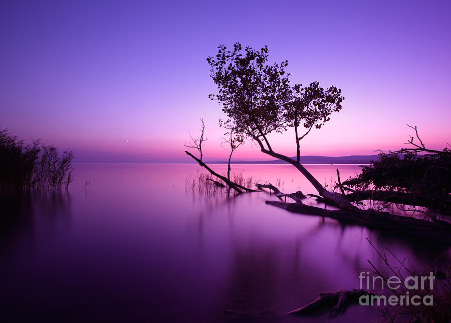 Sunrise Photograph - Sunset Lake. This Photo Make In by Hofhauser Sunrise Photograph - Sunset Lake. This Photo Make In by Hofhauser
