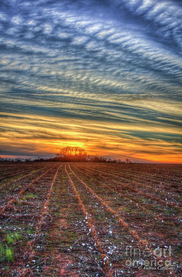  Sunset Landscape Farming Art Photograph by Andrea Callaway