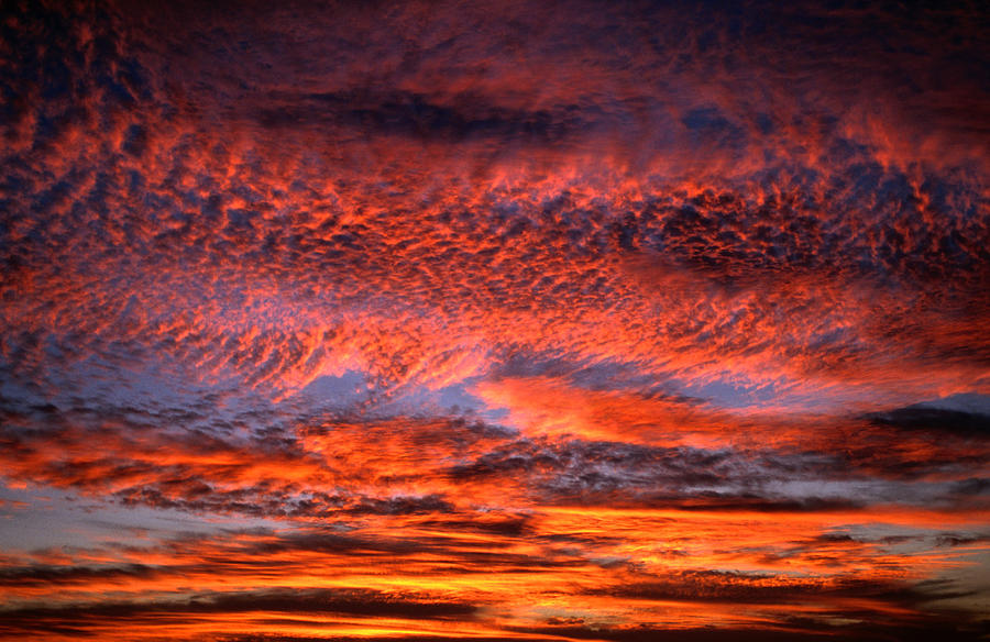 Sunset Lighting Up The Kona Coast Sky Photograph by Mark  Newman