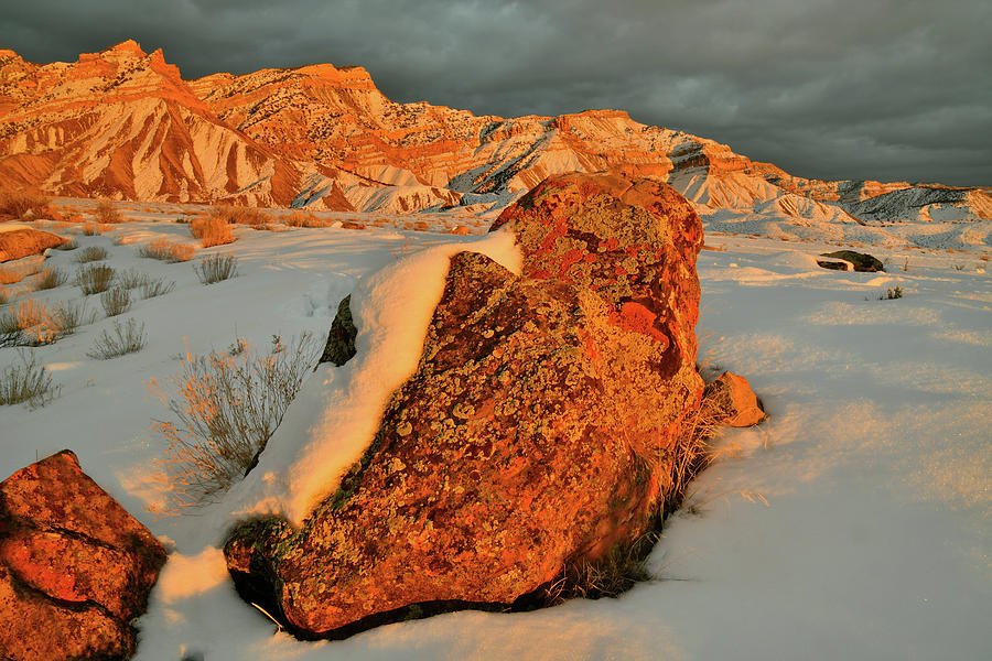 Sunset Lit Boulder in Snow Covered Book Cliffs Photograph by Ray Mathis