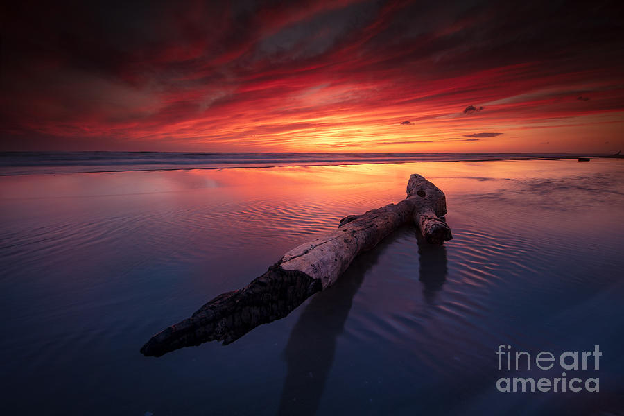 Sunset log Photograph by Marco Crupi