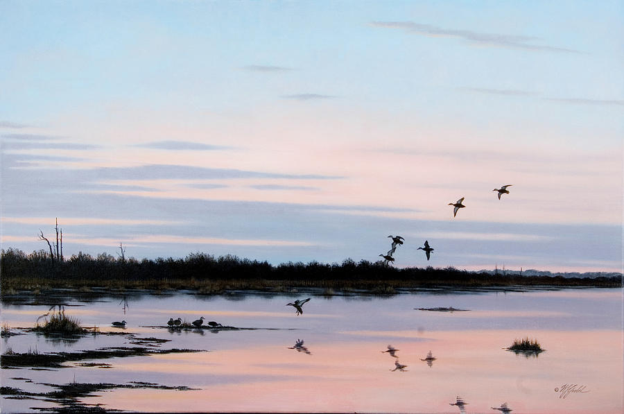 Landscape Painting - Sunset March Black Ducks by Wilhelm Goebel