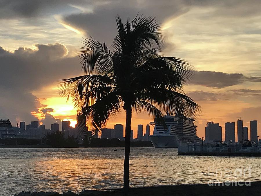 Sunset Miami Photograph by John W Smith III - Fine Art America