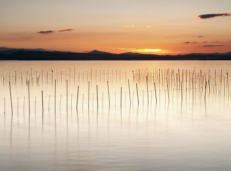 Sunset On Albufera Photograph by Cesar March