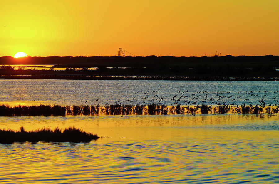 Sunset on Copano Bay Photograph by Adam Reinhart