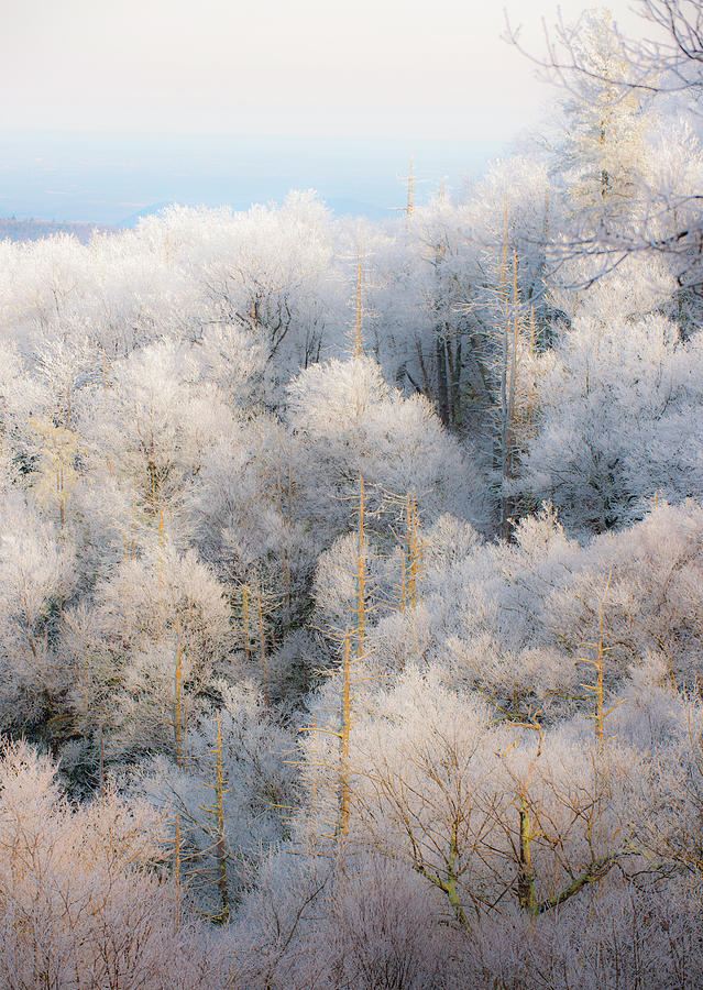 Sunset on Hoarfrost Photograph by Mark Duehmig