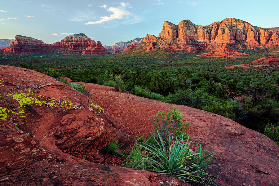 Sunset On Munds Mountain In Sedona With Yellow Lichen Photograph by Cavan Images Sunset On Munds Mountain In Sedona With Yellow Lichen Photograph by Cavan Images