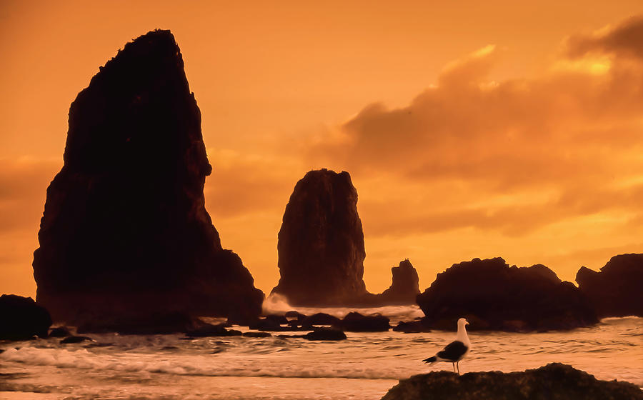 Sunset On Oregon Coast At Canon Beach Photograph by Russell Illig