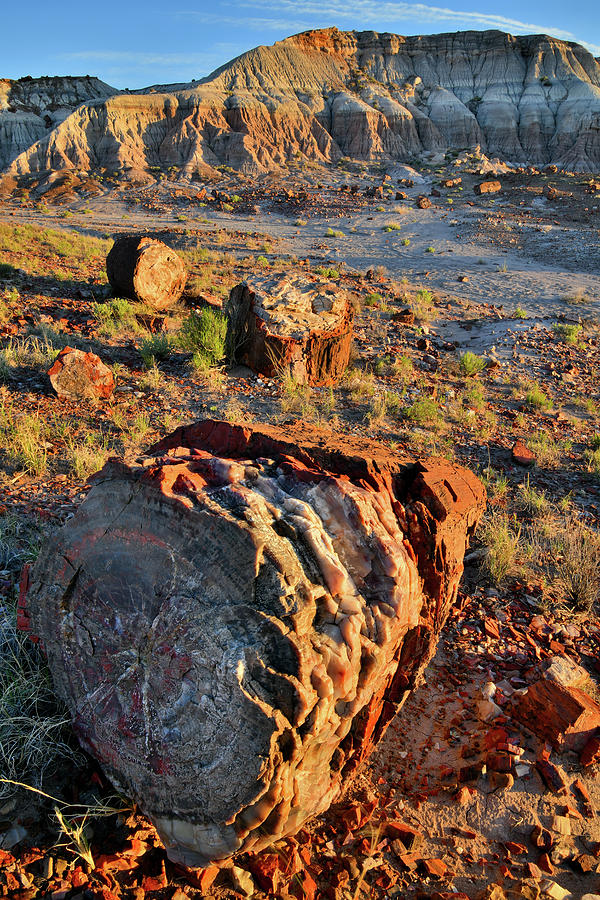 Sunset on Petrified Forest NPs Jasper Forest Photograph by Ray Mathis