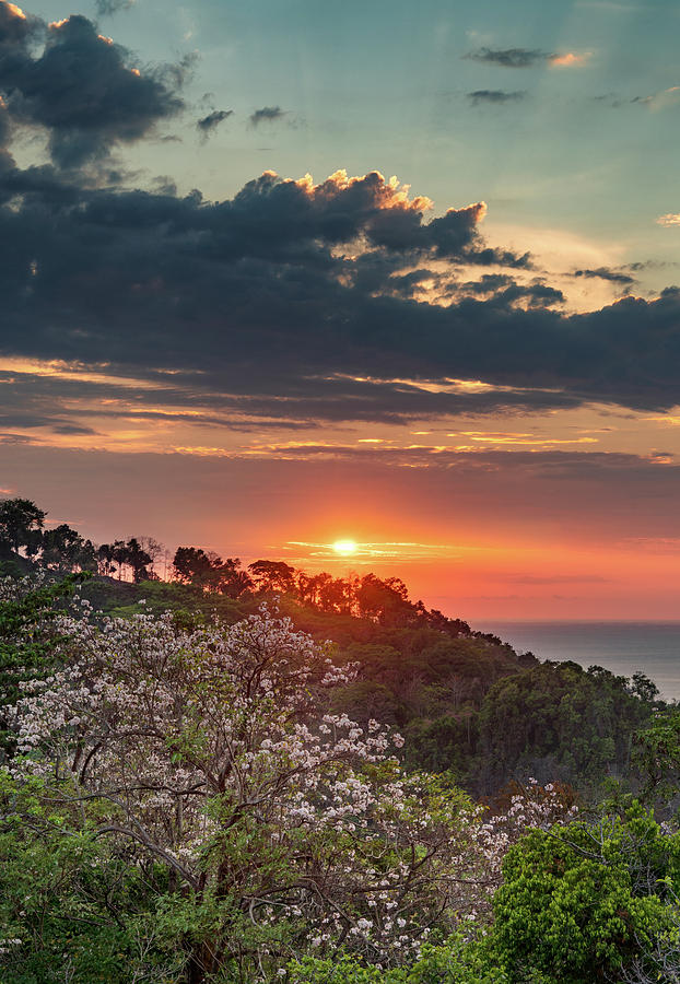 Sunset on the Cliffs of Manuel Antonio Photograph by Darylann Leonard Photography