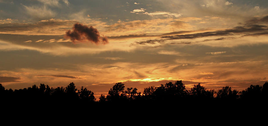 Sunset on the Farm Photograph by Karen Harrison Brown