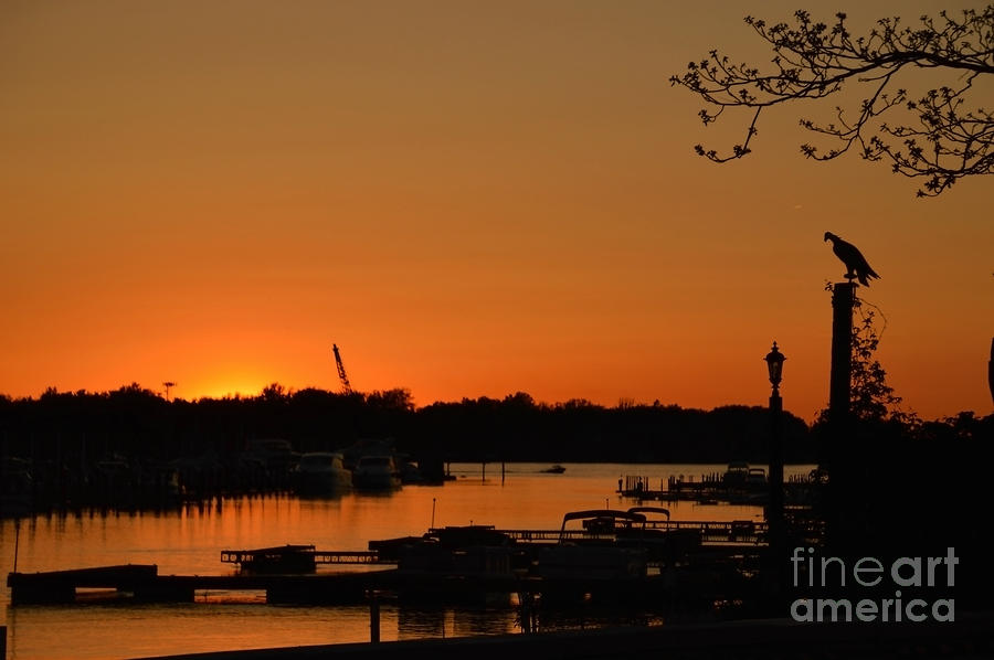 Sunset On The Harbor Photograph by Sheila Lee