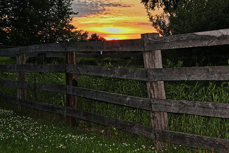 Sunset on the Homestead Photograph by David Thompson - Fine Art America