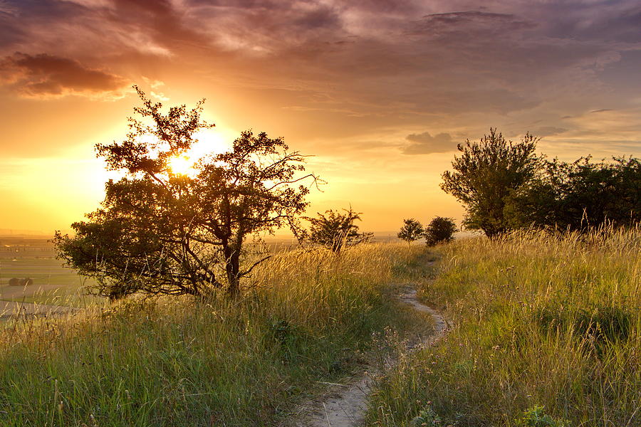 Sunset on the meadow by Ren Kuljovska Sunset on the meadow by Ren Kuljovska