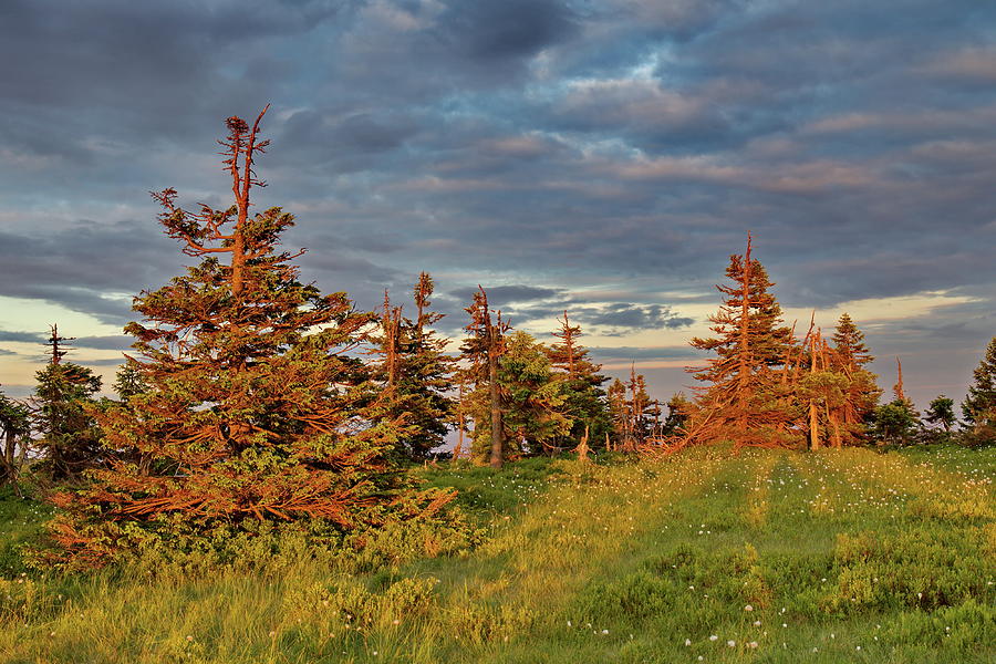 Sunset on the mountain meadow by Ren Kuljovska Sunset on the mountain meadow by Ren Kuljovska