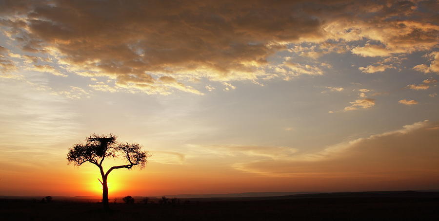 Sunset Over African Horizon With Photograph by Gp232