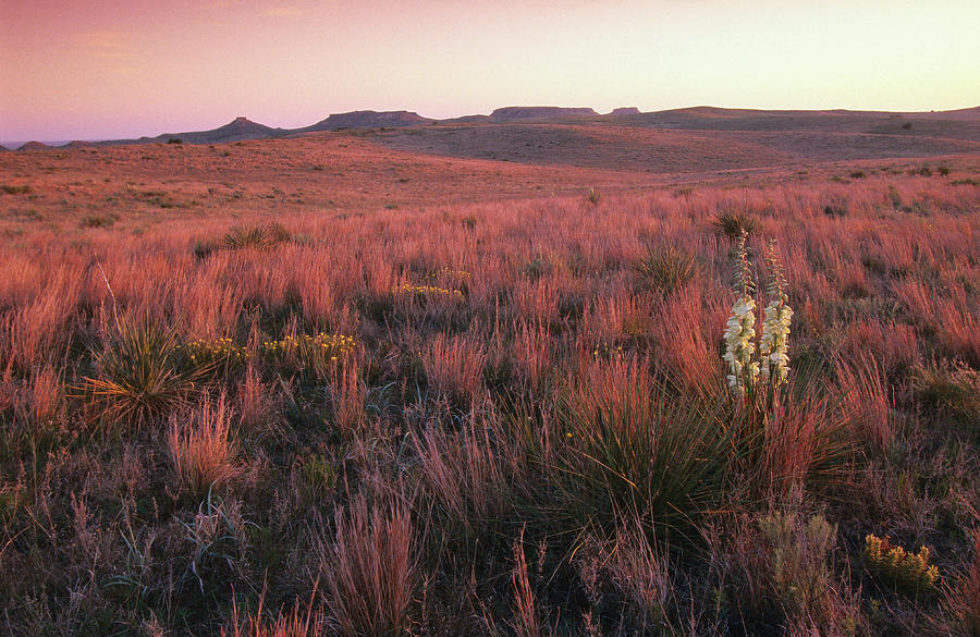 Sunset Over Antelope Hills Photograph by John Elk