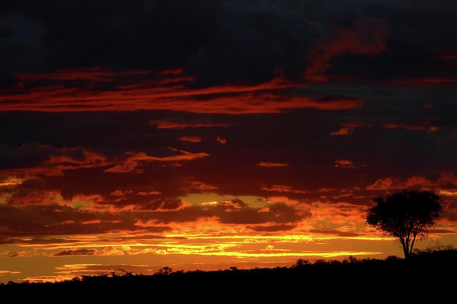 Sunset Over Bushveld. Northern Tuli Photograph by Roger De La Harpe Sunset Over Bushveld. Northern Tuli Photograph by Roger De La Harpe