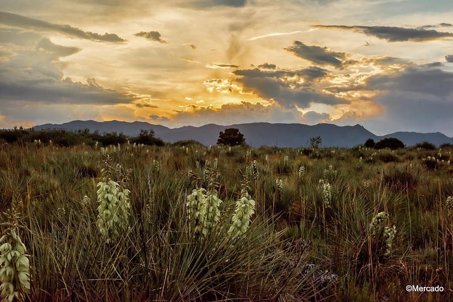 Sunset over Colorado Photograph by Jaime Mercado