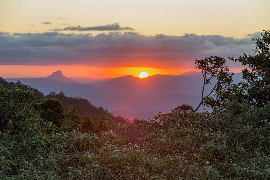 Sunset Over Mountains, Viewed Across Rainforest. Lamington Photograph by Suzi Eszterhas / Naturepl.com Sunset Over Mountains, Viewed Across Rainforest. Lamington Photograph by Suzi Eszterhas / Naturepl.com