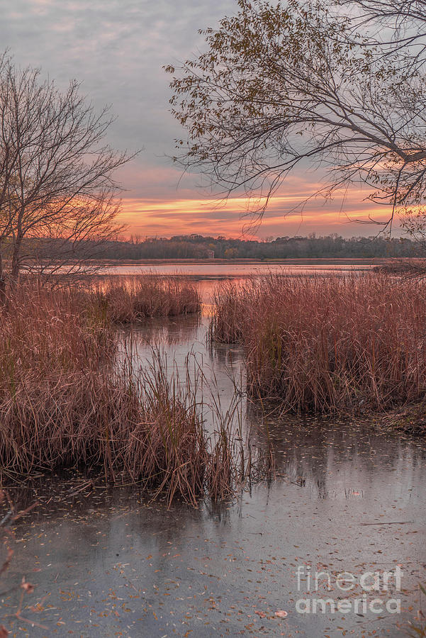 Sunset over Purgatory Creek in Autumn Photograph by Susan Rydberg