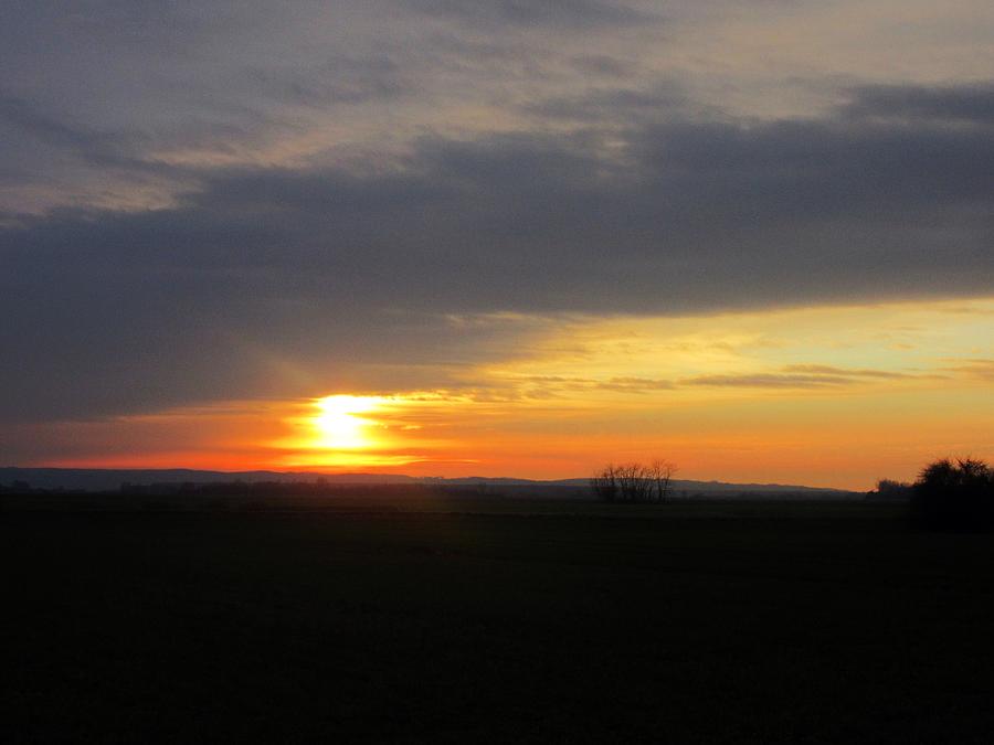 Sunset Over The Field Photograph by Vesna Martinjak