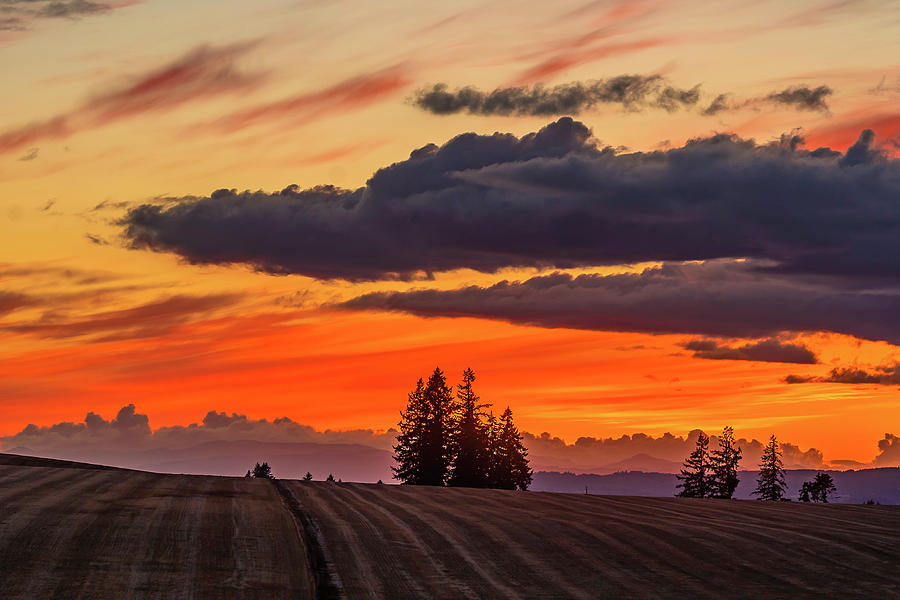 Sunset over the fields Photograph by Ulrich Burkhalter