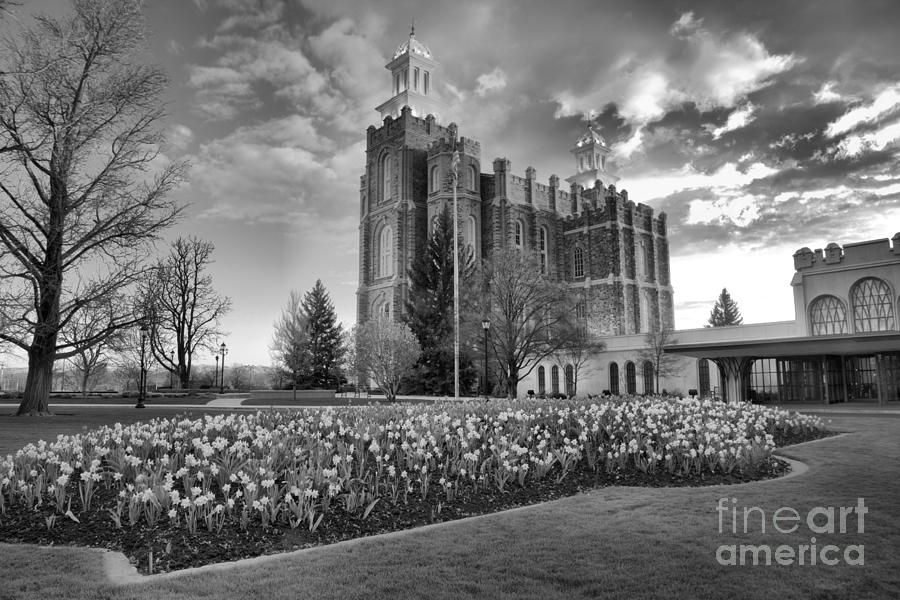 Sunset Over The Logan Utah Temple Black And White Photograph by Adam Jewell