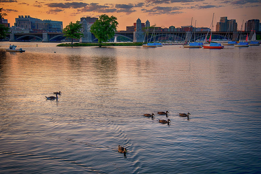 Sunset Over the Longfellow And the Charles Photograph by Joann Vitali