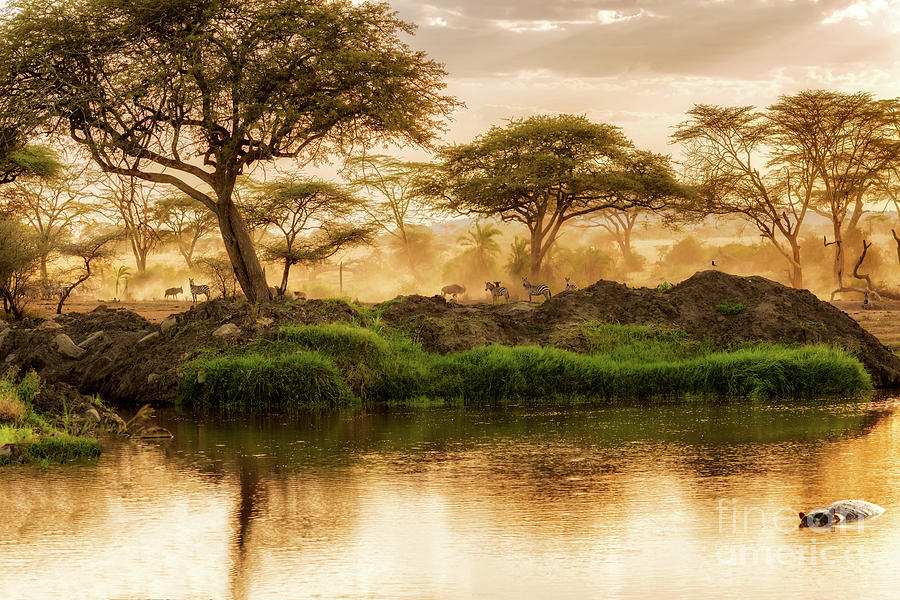 Sunset Over The River In Serengeti, Tanzania. Photograph