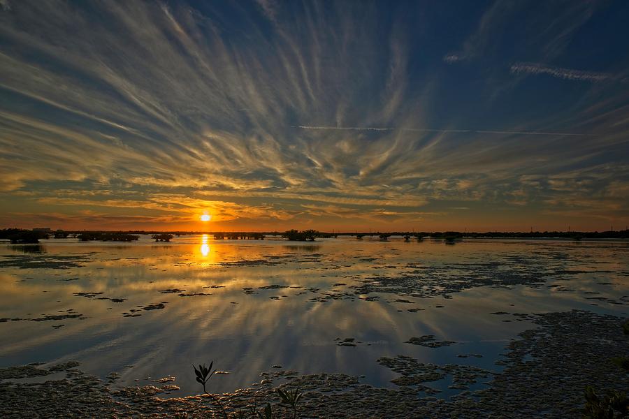 Sunset over the salt marsh by Roy Thoman Sunset over the salt marsh by Roy Thoman