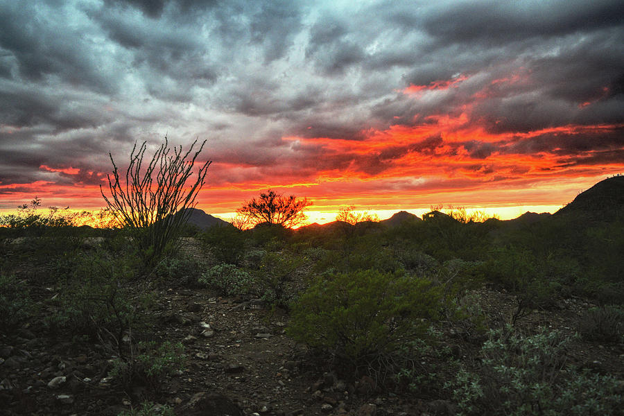 Sunset over the Tucson Mountains Photograph by Chance Kafka