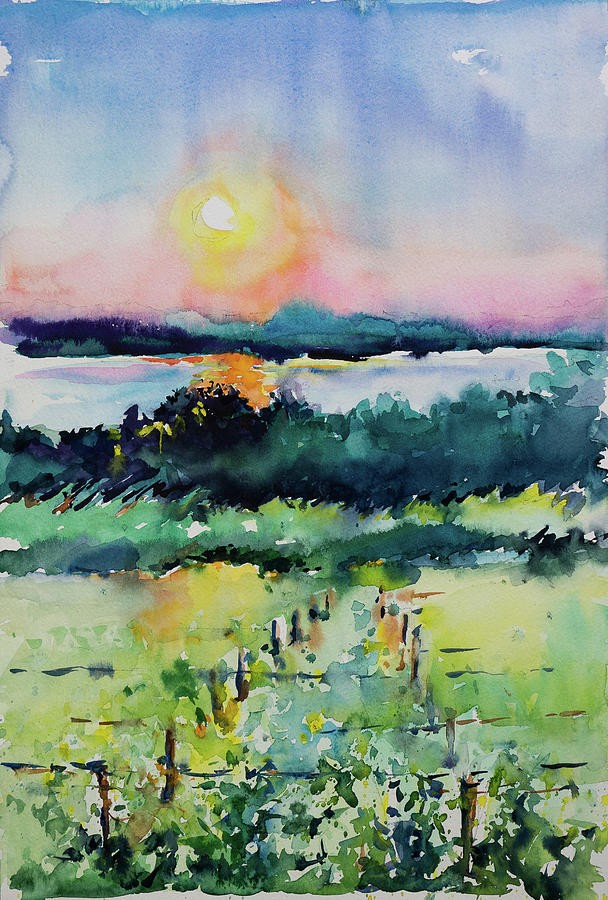 Sunset Over The Vines Painting