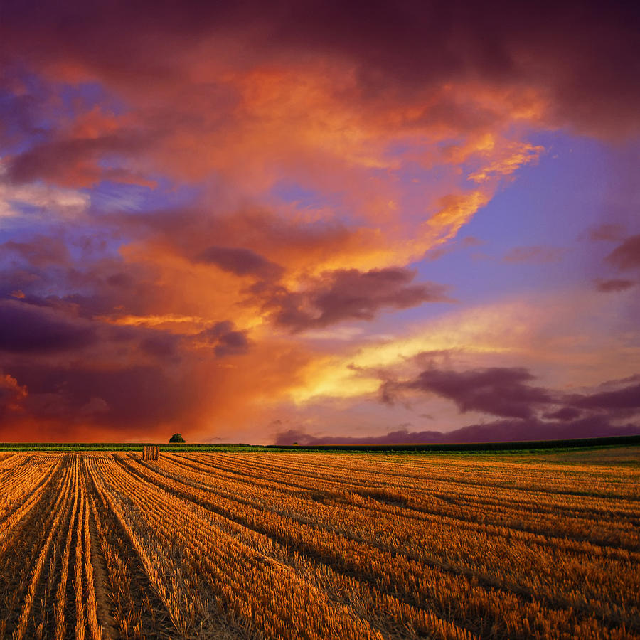 Sunset by Philippe Sainte-laudy Photography