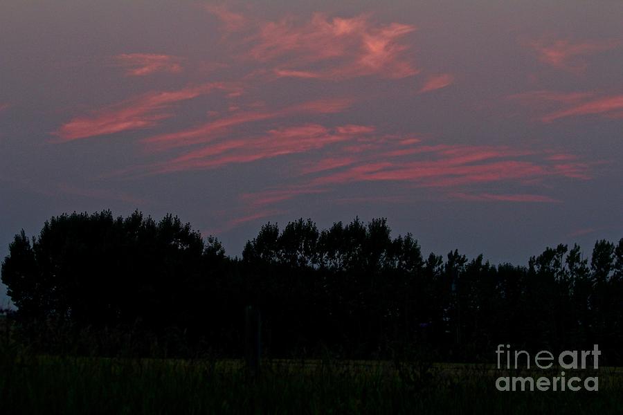 Sunset Pink Photograph by Ann E Robson