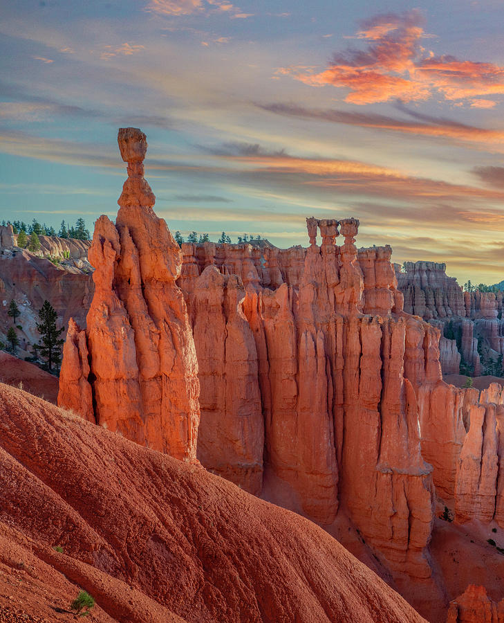 Sunset Point Hoodoos Photograph by Tim Fitzharris