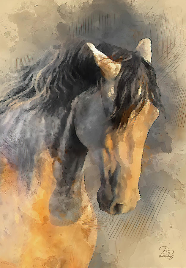 Abstract portrait of a horse Photograph by Debra Boucher