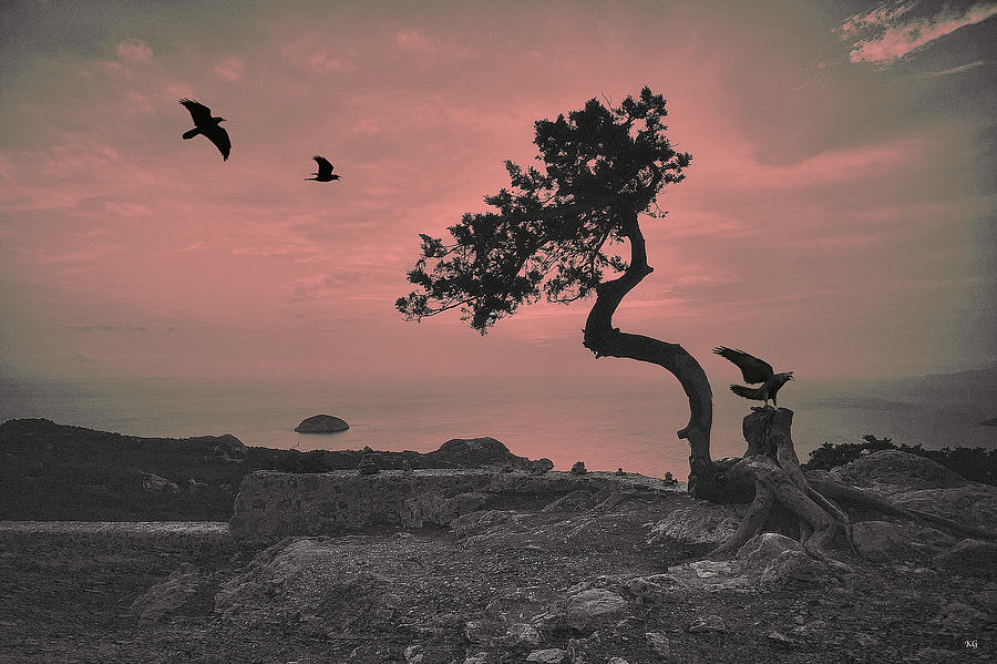 Sunset Red by Orenda Pixel Design Sunset Red by Orenda Pixel Design