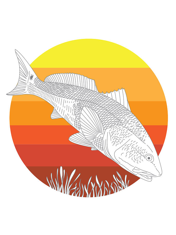 Sunset Redfish Digital Art by Kevin Putman