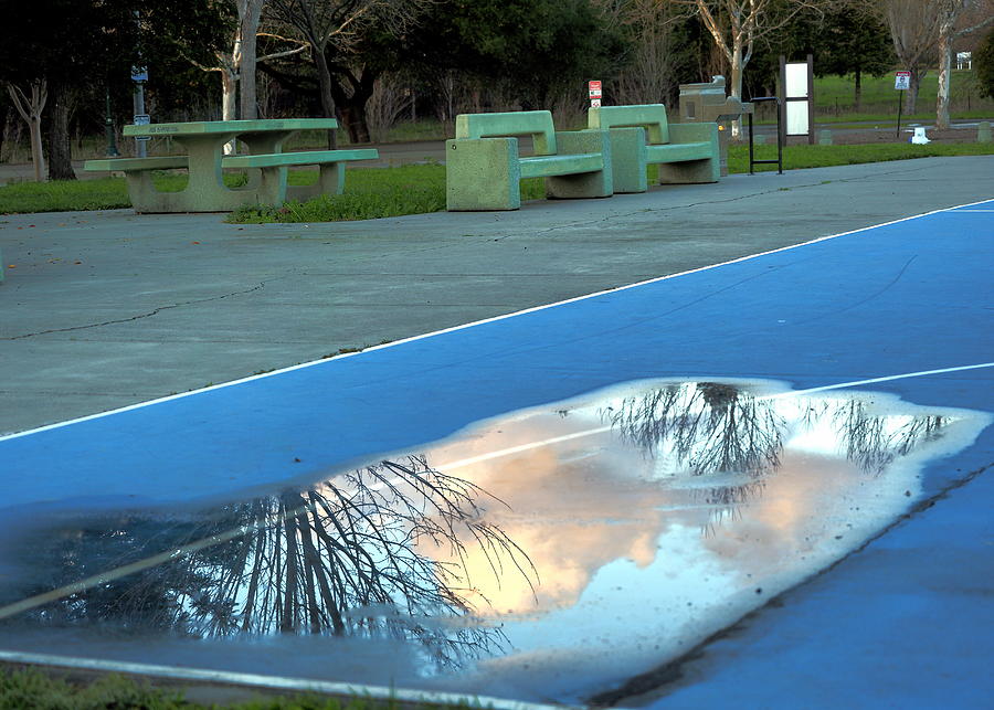 Sunset Reflected in Park Photograph by Richard Thomas