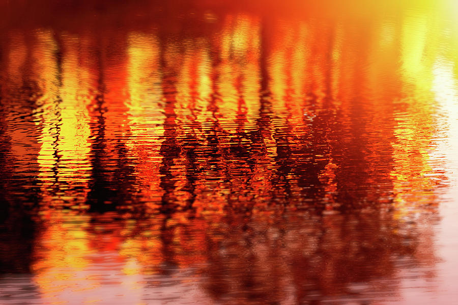 Sunset Reflections by Anna Yanev Sunset Reflections by Anna Yanev