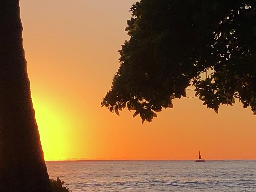 Sunset Sail Photograph by Karen Nicholson