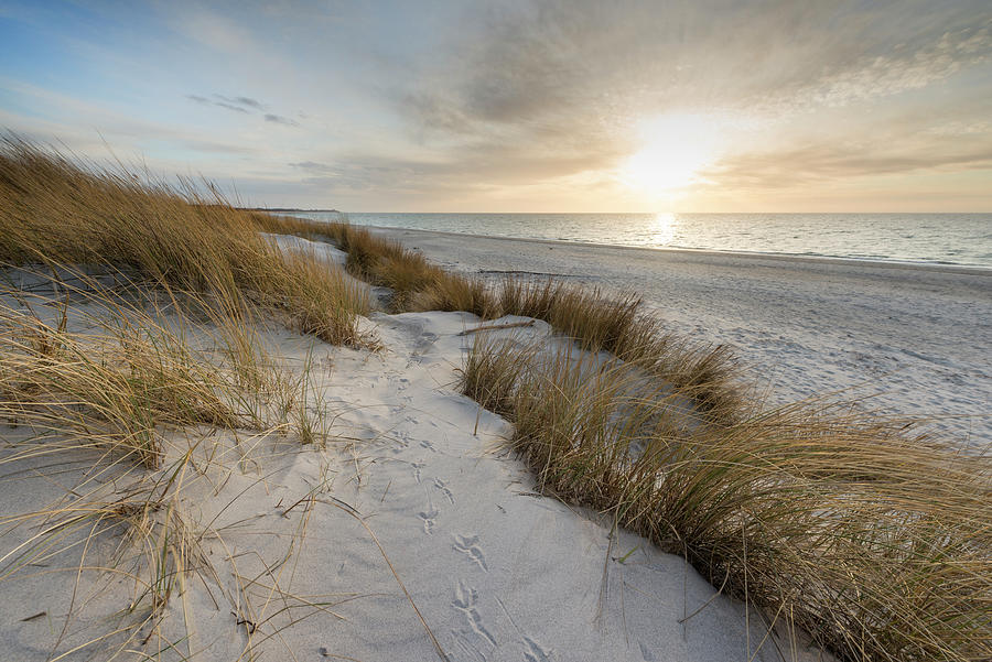 Sunset, Sand Dune, Marram Grass, Weststrand, Fischland-darß-zingst ...